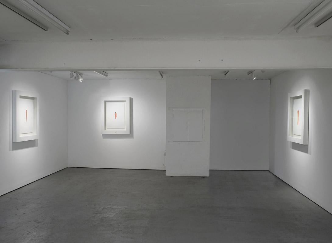 I’m Back Fore Ground — documentation 3